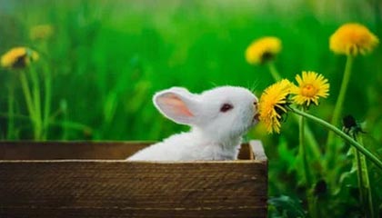 kaiyun：云端生活的全新提案